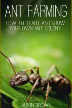 Ant Farming: How to Start and Grow Your Own Ant Colony