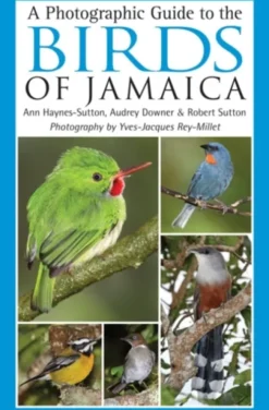 A Photographic Guide to the Birds of Jamaica