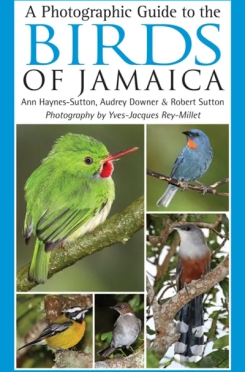 A Photographic Guide to the Birds of Jamaica