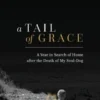A Tail of Grace: A year in search of home after the death of my soul-dog