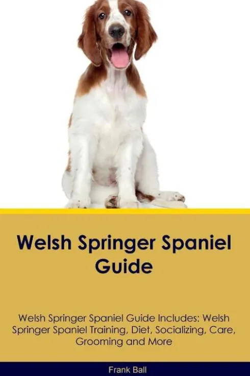 Ball, F: Welsh Springer Spaniel Guide Welsh Springer Spaniel