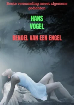 Bengel van een engel