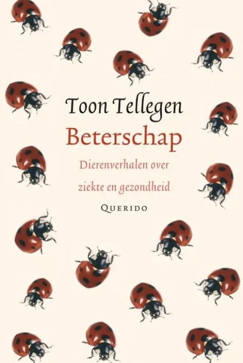 Beterschap