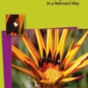 Bible Translation Basics