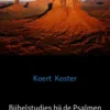 Bijbelstudies bij de Psalmen voor huiskringen & studiegroepen - deel 2
