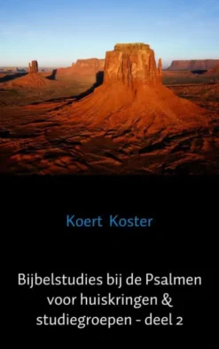 Bijbelstudies bij de Psalmen voor huiskringen & studiegroepen - deel 2