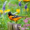 Birds 2027