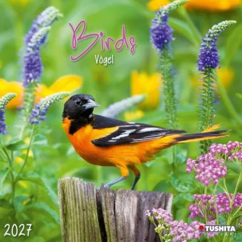 Birds 2027