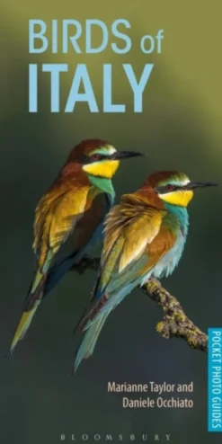 Birds of Italy
