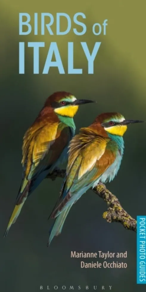 Birds of Italy