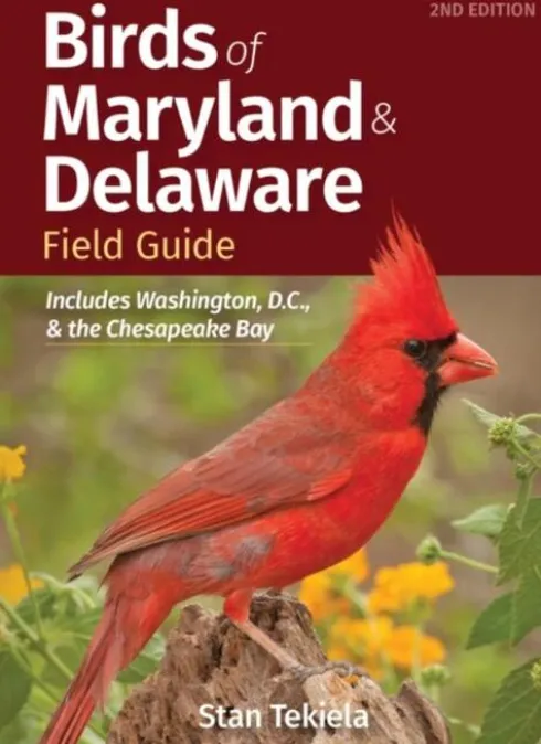 Birds of Maryland & Delaware Field Guide