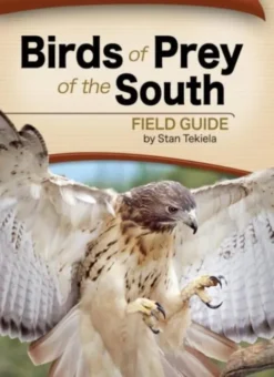 Birds of Prey of the South Field Guide