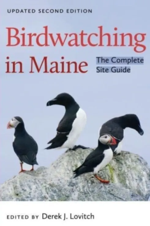 Birdwatching in Maine