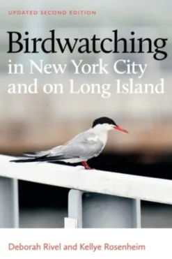 Birdwatching in New York City and on Long Island