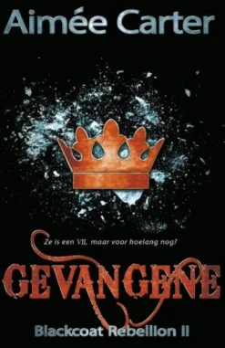 Blackcoat rebellion 2 - Gevangene