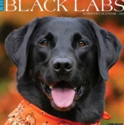 Black Labs 2026 Wall Calendar