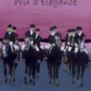 Blijf Gericht - Prix d'Élegance