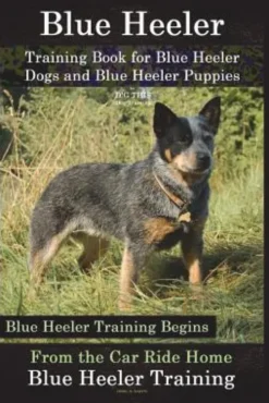 Blue Heeler Training Book for Blue Heeler Dogs and Blue Heeler Puppies By D!G THIS Dog Training: Blue Heeler Training Begins From the Car Ride Home Bl