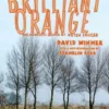 Brilliant Orange: The Neurotic Genius of Dutch Soccer