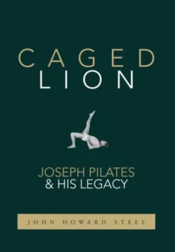 Caged Lion