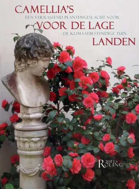 Camellia's voor de Lage Landen