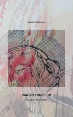 Camino Ergo Sum