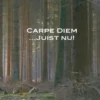 Carpe Diem juist nu!