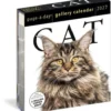 Cat Page-A-Day® Gallery Calendar 2027