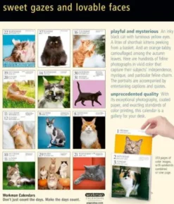Cat Page-A-Day® Gallery Calendar 2027