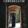 Cerebellum