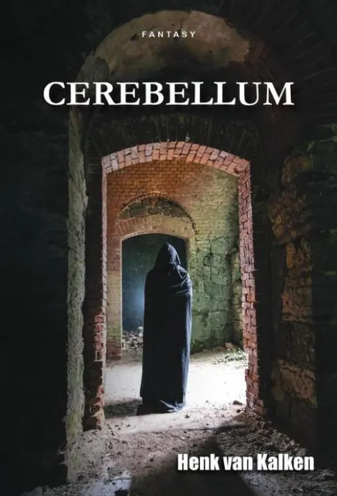 Cerebellum