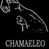 Chamaeleo