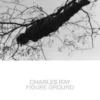 Charles Ray