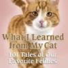 Chicken Soup for the Soul: What I Learned from My Cat