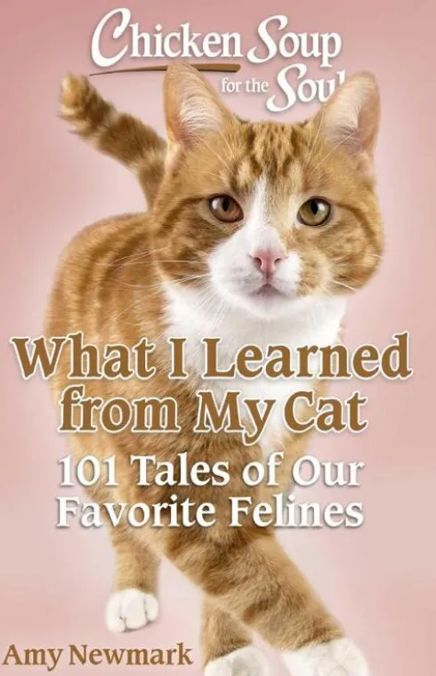Chicken Soup for the Soul: What I Learned from My Cat