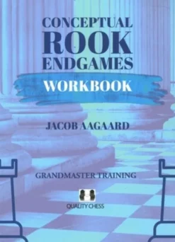 Conceptual Rook Endgames Workbook