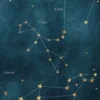 Constellated Journal