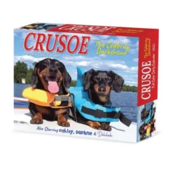Crusoe the Celebrity Dachshund 2026 Box Calendar