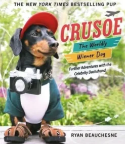 Crusoe, the Worldly Wiener Dog