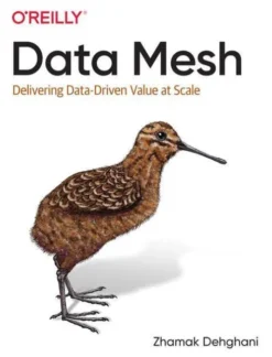 Data Mesh