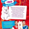 De avonturen van Rutger, Thomas en Paco 3 - Het Pretpark