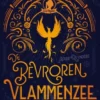 De bevroren vlammenzee