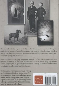 De bijzondere kinderen van mevrouw Peregrine 2 - Omhulde stad