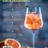 De cocktailbijbel