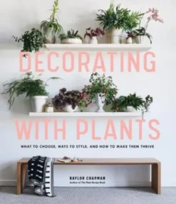 Decorating with Plants