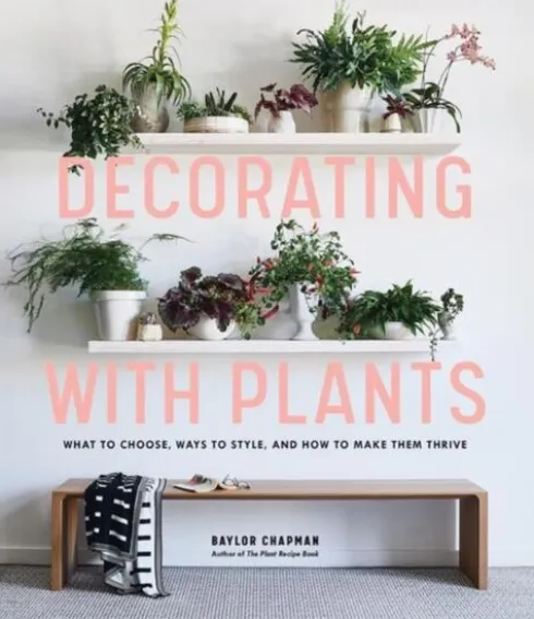 Decorating with Plants