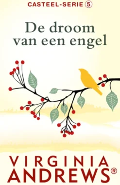 De droom van een engel