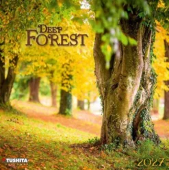 Deep Forest 2027