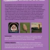 De fonkelnieuwe QuizPuzzels