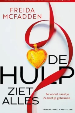 De Hulp 3 - De hulp ziet alles